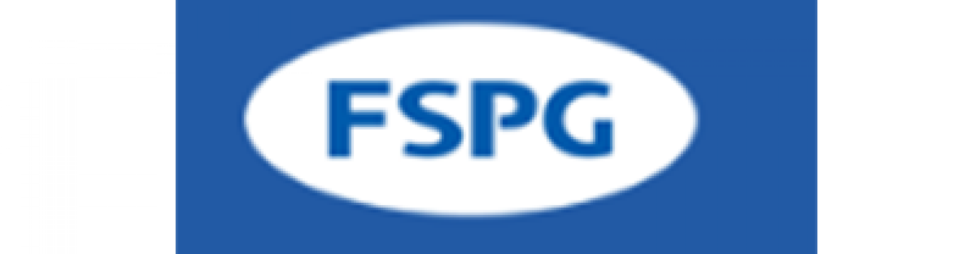 佛山佛塑科技集團(tuán)股份有限公司